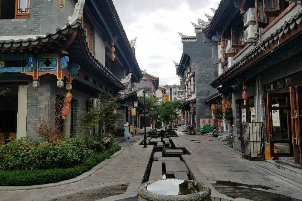 动物帮帮忙保卫家园